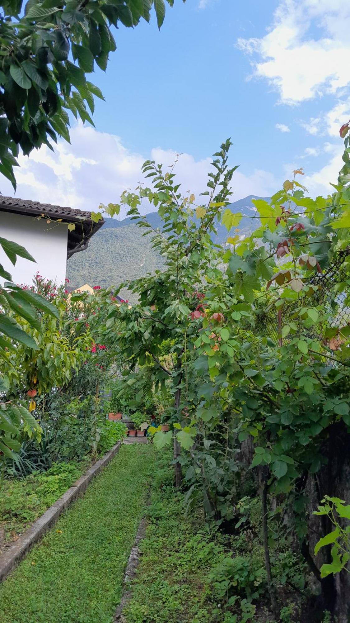 Appartment Lodged Mamma Maria Mattarello Exterior foto